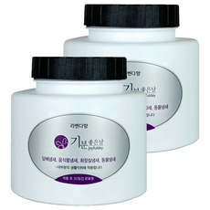 joyfulday 除臭濾芯補充包 大, 2個, 240g, 薰衣草