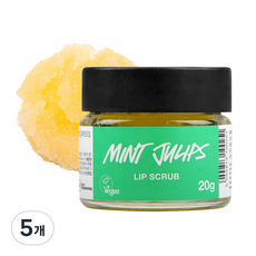 러쉬 립 스크럽, 민트 줄립스, 5개, 20g