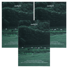 wannathis Mylight 方格空白筆記本, 04 黑暗森林, 3個