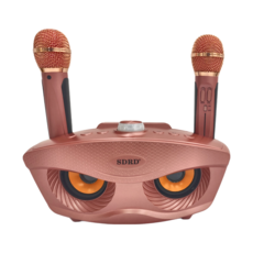SDRD 聖拓 可攜式KTV音箱 SD-306 10W+10W