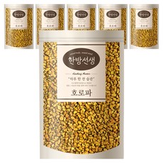 한방선생 호로파 씨앗 특품, 600g, 6개