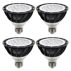 DAYSTAR HOUSE LED PAR30 燈泡 E26 15W 黑色 聚光型, 正白光, 4個