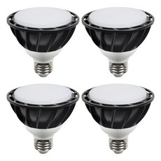 DAYSTAR HOUSE LED PAR30 燈泡 E26 15W 黑色 擴散型, 晝光色, 4個