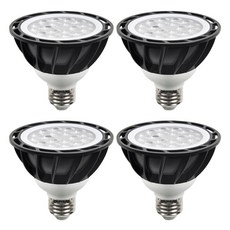 DAYSTAR HOUSE LED PAR30 燈泡 E26 15W 黑色 聚光型, 暖黃光, 4個