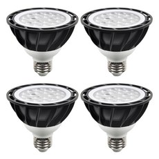 DAYSTAR HOUSE LED PAR30 燈泡 E26 15W 黑色 聚光型, 自然白光, 4個