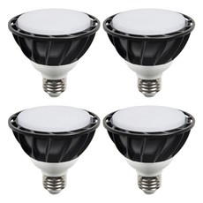 DAYSTAR HOUSE LED PAR30 燈泡 E26 15W 黑色 擴散型, 晝白色, 4個