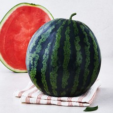 곰곰 고당도 수박, 8KG 이상, 1개