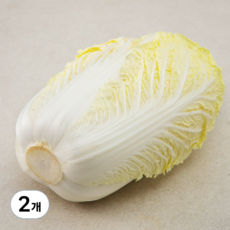강원도 알배기 배추, 450g, 1개입, 2개