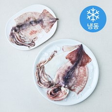 일품 간편한 손질 오징어 (냉동), 1개, 300g(2~3미)