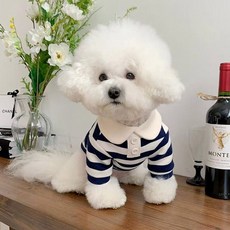 딩동펫 반려동물 앤유 스트라이프 카라 티셔츠, 네이비, 1개