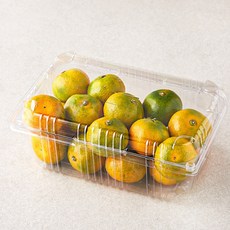 당도선별 11brix 감귤, 1.2kg(꼬마과), 1개