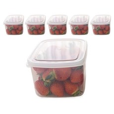 NAKAYA 方形密封保鮮盒 C款, 單品, 6入