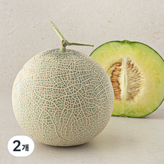 곰곰 세지 메론, 2kg, 2개
