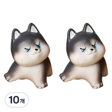 라벤티아 큐티 퍼피 강아지 타입3, 10개