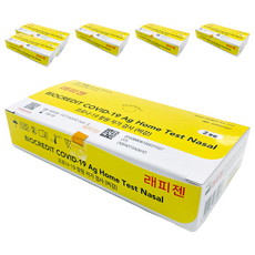 래피젠 코로나19 항원 자가 진단 검사 키트 G69RHSB1, 2개입, 6개