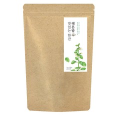 더허브샵 티백차 레몬밤, 1g, 20개입, 1개