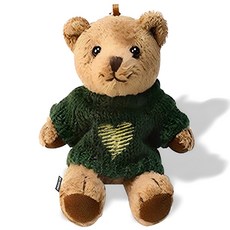 URBAN CAR Tive 泰迪熊鑰匙圈, 愛心 綠色, 1個