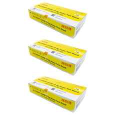 래피젠 코로나 자가검사 키트, 2개입, 3개