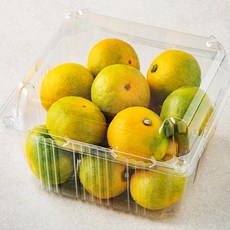 곰곰 당도선별 10brix 감귤, 800g(소과), 1개