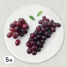 만나다 페루산 씨없는 적포도, 5개, 600g