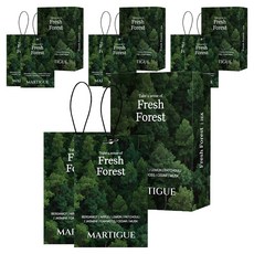 Martigue 香氛袋車用芳香劑2入, Fresh Forest, 4組