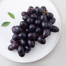 만나다 페루산 블랙포도, 1개, 600g