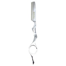 GREAGER 專業用魔法色彩造型剃刀架 GR-6C + 剃刀片 GR-10C 10p 套組, 1套, 銀色(剃刀架)