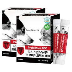 식스스텝 반려동물 영양제, 60g, 장건강/유산균, 2개