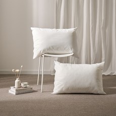 HUGUARD Microfil ever 防蟎防水枕芯, 白色, 2個