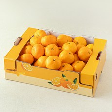 곰곰 국내산 감귤, 3kg(로얄과), 1개