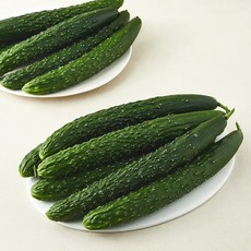 가시오이(15~25입), 5kg, 1박스 5kg, 1박스
