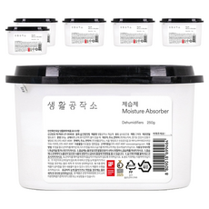 생활공작소 제습제 본품, 250g, 6개