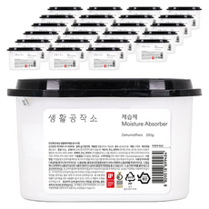 생활공작소 제습제 본품, 250g, 24개