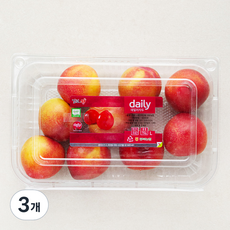 김천앤 GAP 인증 데일리 자두, 3개, 750g(L)