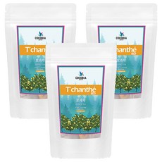 TChanthe 木瓜茶三角茶包, 3個, 1.5g, 25入