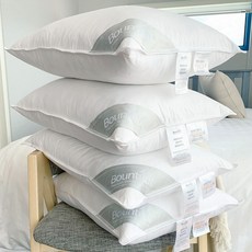 Bountiful 鵝絨枕芯 900g, 白色的