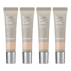 한스킨 블레미쉬 커버 내추럴 컨실러 12g, 브라이트, 4개