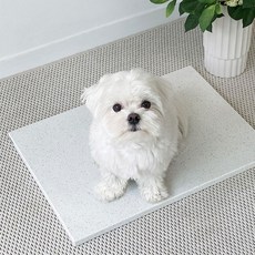 베베페페 강아지 대리석 쿨매트 엔지니어드스톤, 스노우, 1개