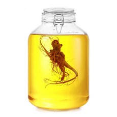 헬로키친 다용도 밀폐 유리병, 5L, 1개