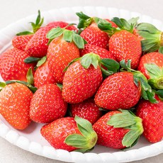 곰곰 국내산 딸기, 500g(소과), 1팩