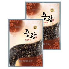 동광한방몰 지구자 헛개나무열매, 100g, 2개