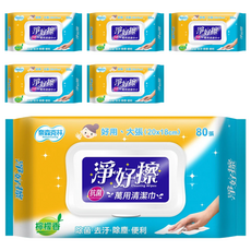 奈森克林 淨好擦萬用清潔巾 掀蓋, 1入, 6包