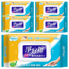 奈森克林 淨好擦萬用清潔巾 掀蓋, 1入, 5包