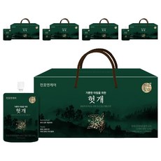 하루활력 가뿐한 아침을 위한 헛개즙, 2.1L, 5개