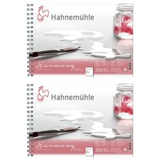 하네뮬레 하모니 중목 스프링형 스케치북 300g HC11, A4, 2개, 12매