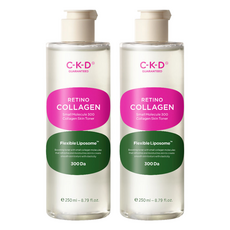 씨케이디 레티노콜라겐 저분자300 콜라겐 결 토너, 250ml, 2개