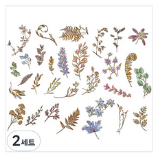 피어니스트 다이어리 꾸미기 빈티지 스티커 세트, 잎, 2세트