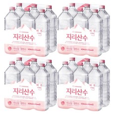 아워홈 지리산수, 2L, 24개