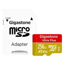 GIGASTONE 立達 MicroSDXC記憶卡 高速讀取 流暢畫面, 256GB, 1個