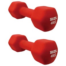 SC 優選 鑄鐵實心六角磨砂浸塑啞鈴 紅色 4kg 2個